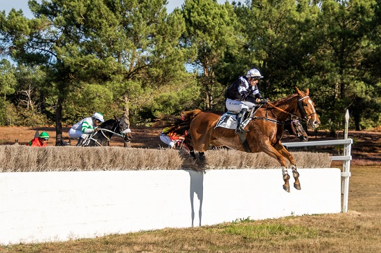 Parcours de steeple-chase