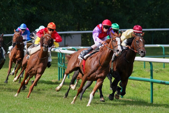 Une réunion hippique de Galop à l'hippodrome de la Prée