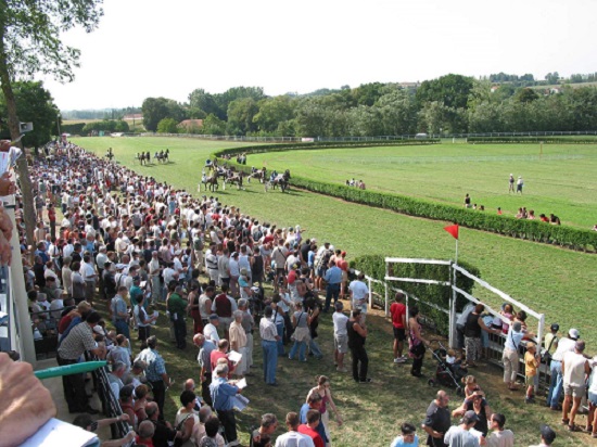 Public présent à l'hippodrome de la Prée lors d'un réunion de courses