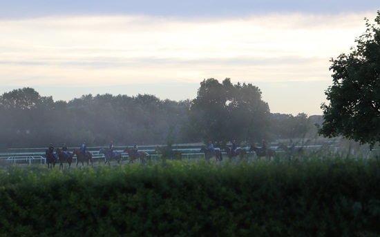 Centre d'entraînement de Calas