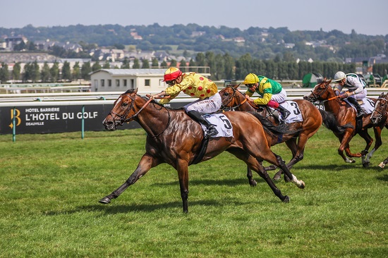 Cheval de course: la passion plutôt que le rendement - Boursorama