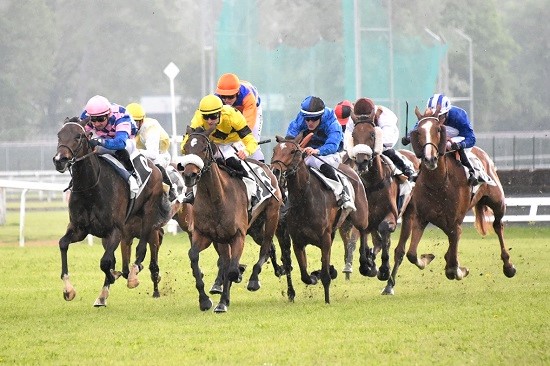 Galop Montluçon