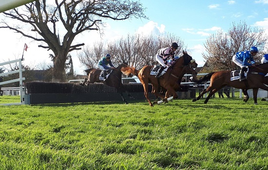 Obstacle Hippodrome de Senonnes