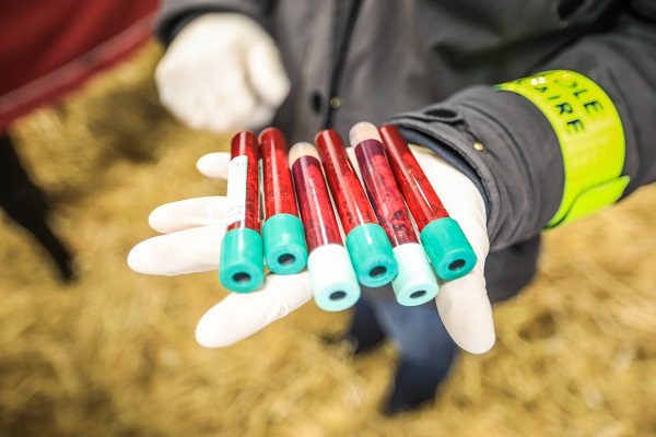 Laboratoire des Courses Hippiques