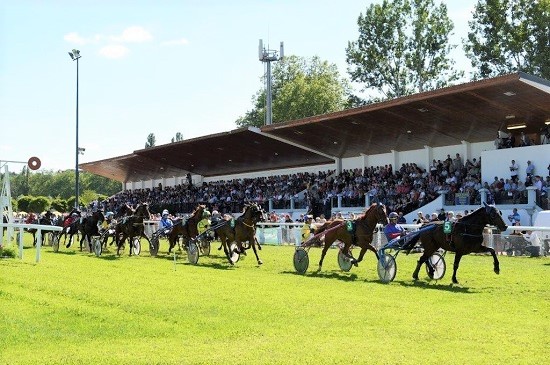 Trophée Vert