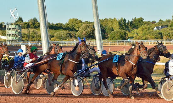 Le meeting estival est dédié aux courses de trot