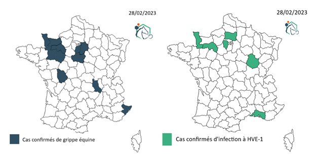 Carte de France des cas confirmés