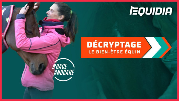 Décryptage : Le bien-être équin