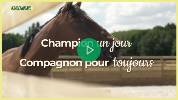 Champion un jour, compagnon pour toujours