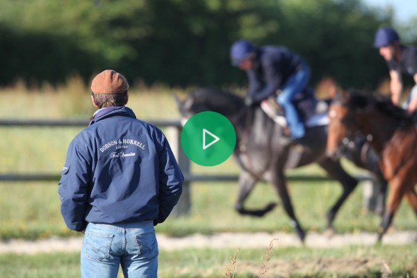 Le rôle du pré-entraînement des chevaux de course