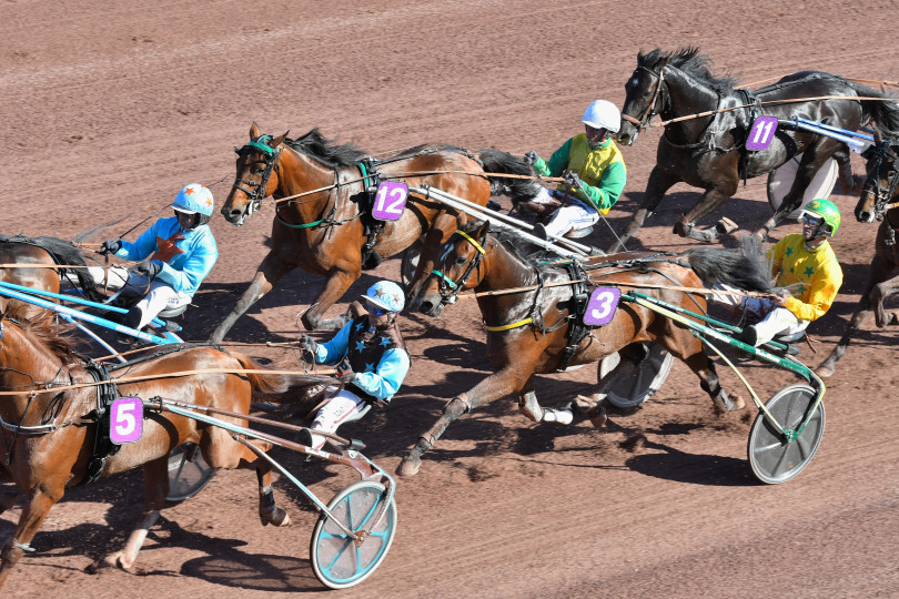 Devenez propriétaire d'un cheval de course