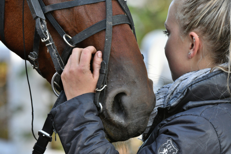 Lad & Cavalier d'entrainement 