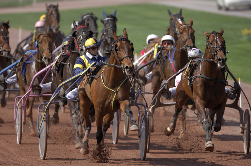 Discipline : le Trot