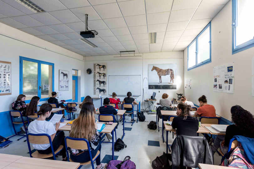 AFASEC, école des courses hippiques 