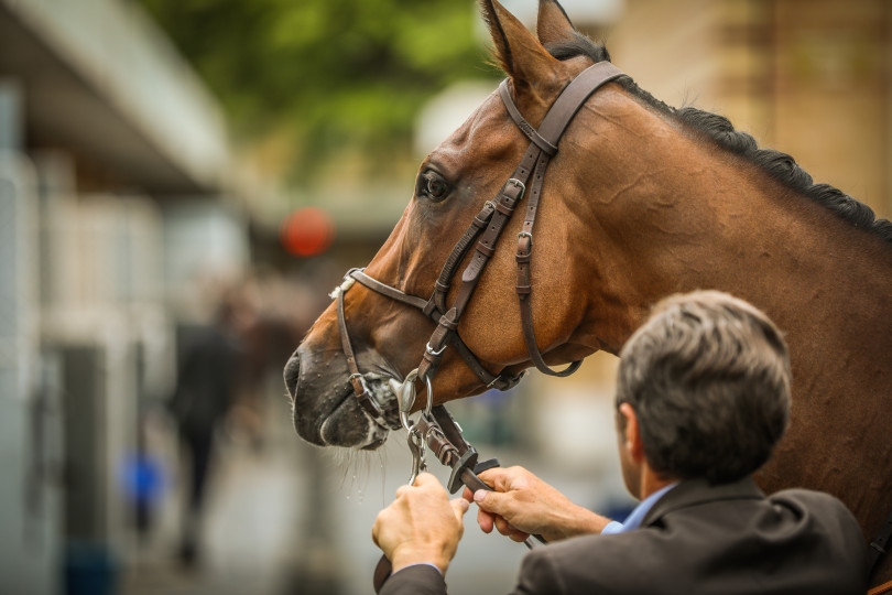 Entraineur de chevaux de courses