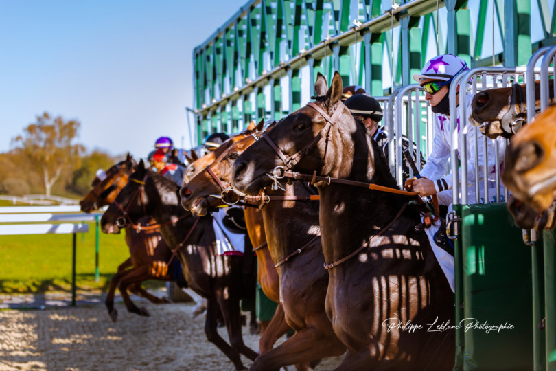 Hippodrome de Pau