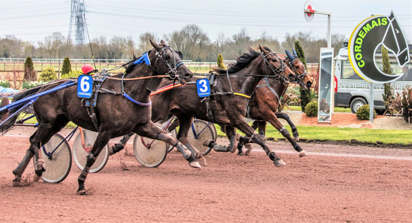 Hippodrome de Cordemais