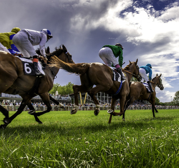 Hippodrome de Royan