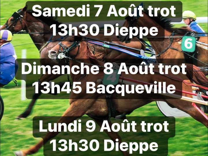 SAMEDI 7 AOUT - REUNION TROT PMH