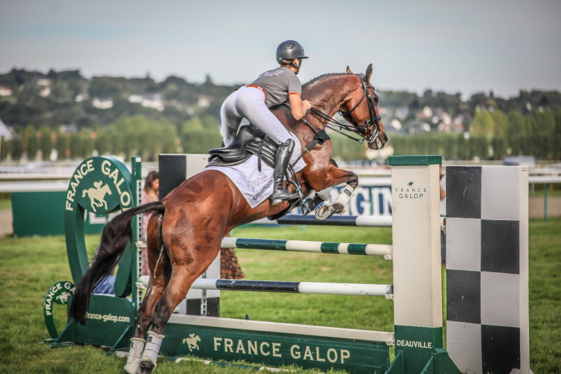 La reconversion des chevaux de course