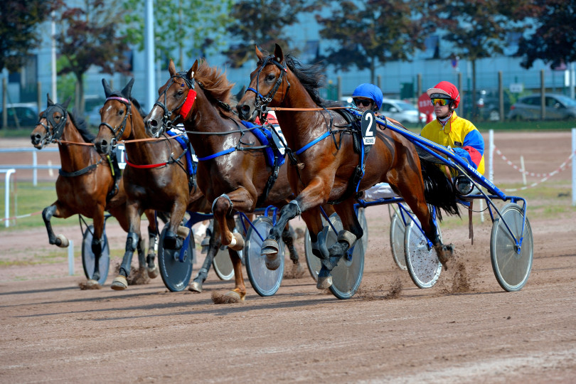 Association des courses Reims-Châlons