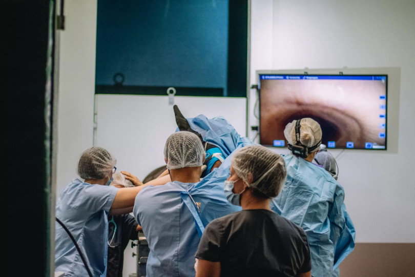 Clinique vétérinaire de Grosbois