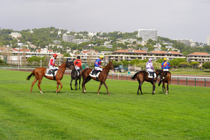 Hippodrome de Marseille