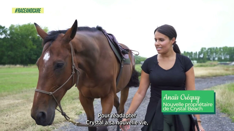 Reconversion cheval de course - Crystal Beach