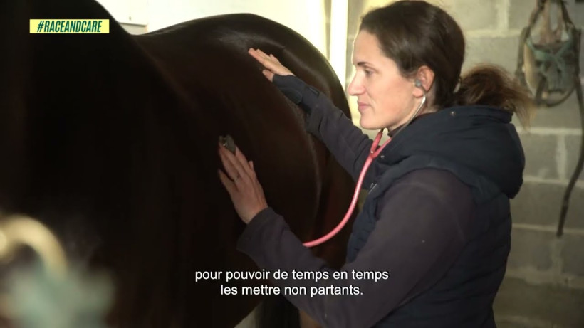 Des professionnels au service de la santé du cheval