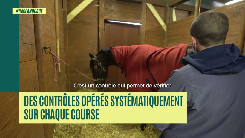 Médication des chevaux en courses : tolérance zéro