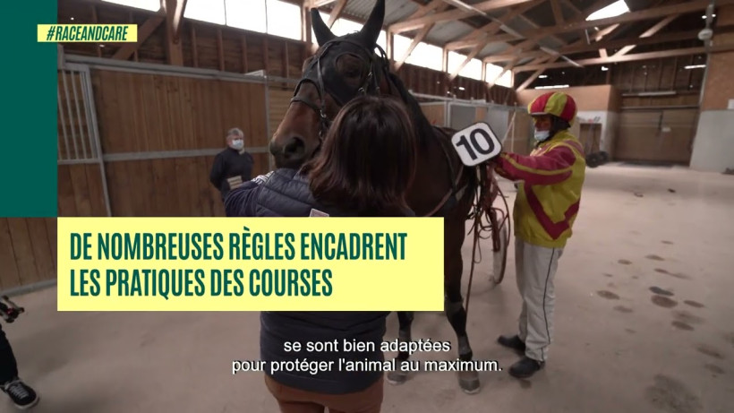 Une règlementation stricte pour garantir la sécurité du cheval