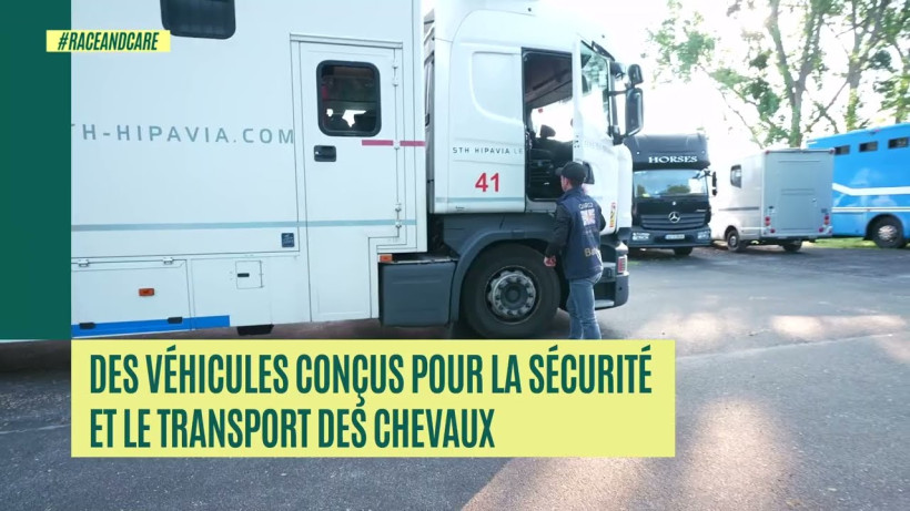 Le transport : sécurité et confort des équidés