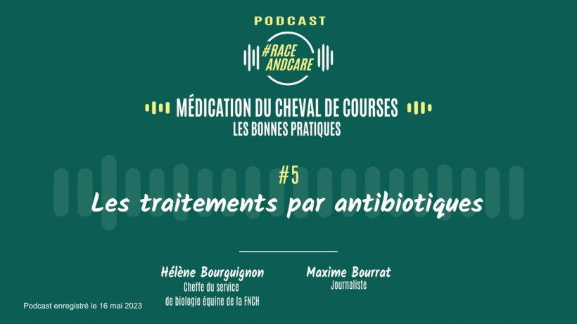 Les traitements par antibiotiques