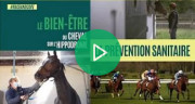 Video Le Bien-Etre du Cheval sur l’Hippodrome, Episode 1
